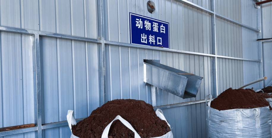 達拉特旗構建“五位一體”病死畜禽無害化處理模式，推動生物有機肥料研發保障食品與生態安全