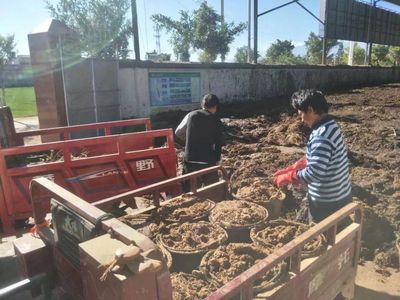 順豐洱海環(huán)保股份榮膺“云南省百戶優(yōu)強(qiáng)民營企業(yè)”稱號(hào)，生物質(zhì)能技術(shù)服務(wù)引領(lǐng)綠色新篇章