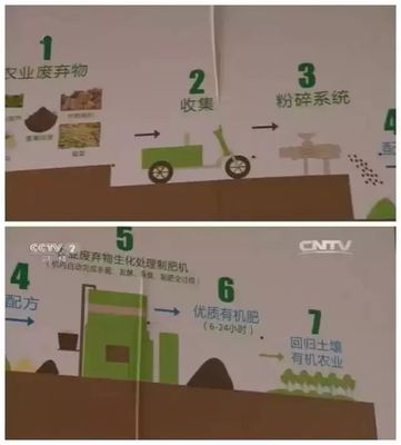 從“肥料研發”到“親子體驗園” 一場月入百萬的綠色轉型傳奇